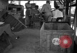 Image 8e Groupe de chasse Morotai Île de l'Indonésie, 1944, de la seconde 24 séquences d'archives historiques vidéo 65675068813