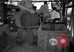 Image 8e Groupe de chasse Morotai Île de l'Indonésie, 1944, de la seconde 25 séquences d'archives historiques vidéo 65675068813