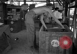 Image 8e Groupe de chasse Morotai Île de l'Indonésie, 1944, de la seconde 28 séquences d'archives historiques vidéo 65675068813