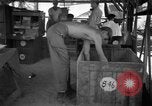 Image 8e Groupe de chasse Morotai Île de l'Indonésie, 1944, de la seconde 29 séquences d'archives historiques vidéo 65675068813