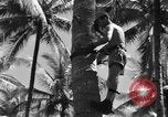Image 8e Groupe de chasse Morotai Île de l'Indonésie, 1944, de la seconde 52 séquences d'archives historiques vidéo 65675068813
