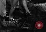 Image 8e Groupe de chasse Morotai Île de l'Indonésie, 1944, de la seconde 62 séquences d'archives historiques vidéo 65675068813