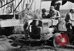 Image 8e Groupe de chasse Morotai Île de l'Indonésie, 1944, de la seconde 4 séquences d'archives historiques vidéo 65675068814