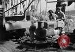 Image 8e Groupe de chasse Morotai Île de l'Indonésie, 1944, de la seconde 6 séquences d'archives historiques vidéo 65675068814