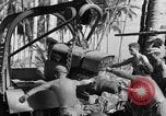 Image 8e Groupe de chasse Morotai Île de l'Indonésie, 1944, de la seconde 36 séquences d'archives historiques vidéo 65675068814