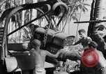 Image 8e Groupe de chasse Morotai Île de l'Indonésie, 1944, de la seconde 37 séquences d'archives historiques vidéo 65675068814