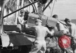Image 8e Groupe de chasse Morotai Île de l'Indonésie, 1944, de la seconde 38 séquences d'archives historiques vidéo 65675068814