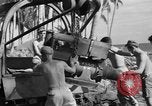 Image 8e Groupe de chasse Morotai Île de l'Indonésie, 1944, de la seconde 39 séquences d'archives historiques vidéo 65675068814