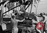 Image 8e Groupe de chasse Morotai Île de l'Indonésie, 1944, de la seconde 40 séquences d'archives historiques vidéo 65675068814