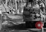 Image 8e Groupe de chasse Morotai Île de l'Indonésie, 1944, de la seconde 51 séquences d'archives historiques vidéo 65675068814