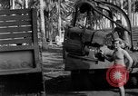 Image 8e Groupe de chasse Morotai Île de l'Indonésie, 1944, de la seconde 54 séquences d'archives historiques vidéo 65675068814