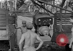Image 8e Groupe de chasse Morotai Île de l'Indonésie, 1944, de la seconde 59 séquences d'archives historiques vidéo 65675068814