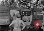 Image 8e Groupe de chasse Morotai Île de l'Indonésie, 1944, de la seconde 60 séquences d'archives historiques vidéo 65675068814