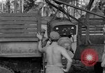 Image 8e Groupe de chasse Morotai Île de l'Indonésie, 1944, de la seconde 62 séquences d'archives historiques vidéo 65675068814