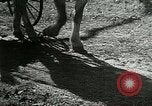 Image of "The American Road" New York United States USA, 1953, second 4 stock footage video 65675068815