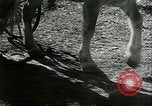 Image of "The American Road" New York United States USA, 1953, second 6 stock footage video 65675068815