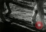 Image of "The American Road" New York United States USA, 1953, second 8 stock footage video 65675068815