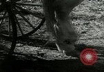 Image of "The American Road" New York United States USA, 1953, second 11 stock footage video 65675068815