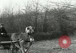 Image of "The American Road" New York United States USA, 1953, second 58 stock footage video 65675068815
