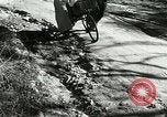Image of Henry Ford and his Quadricycle New York United States USA, 1919, second 30 stock footage video 65675068817