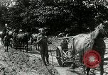 Image of tourists sightseeing in America in Model T cars Western United States USA, 1919, second 28 stock footage video 65675068821