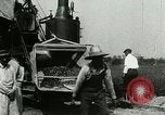 Image of tourists sightseeing in America in Model T cars Western United States USA, 1919, second 39 stock footage video 65675068821