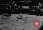 Image Pour l'école matadors Caracas venezuela, 1955, de la seconde 17 séquences d'archives historiques vidéo 65675068829