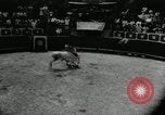 Image Pour l'école matadors Caracas venezuela, 1955, de la seconde 18 séquences d'archives historiques vidéo 65675068829