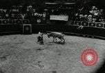 Image Pour l'école matadors Caracas venezuela, 1955, de la seconde 19 séquences d'archives historiques vidéo 65675068829