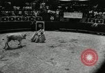 Image Pour l'école matadors Caracas venezuela, 1955, de la seconde 23 séquences d'archives historiques vidéo 65675068829