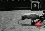 Image Pour l'école matadors Caracas venezuela, 1955, de la seconde 25 séquences d'archives historiques vidéo 65675068829