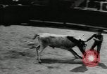Image Pour l'école matadors Caracas venezuela, 1955, de la seconde 26 séquences d'archives historiques vidéo 65675068829