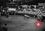 Image Pour l'école matadors Caracas venezuela, 1955, de la seconde 28 séquences d'archives historiques vidéo 65675068829
