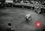 Image Pour l'école matadors Caracas venezuela, 1955, de la seconde 30 séquences d'archives historiques vidéo 65675068829