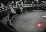 Image Pour l'école matadors Caracas venezuela, 1955, de la seconde 33 séquences d'archives historiques vidéo 65675068829
