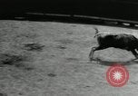 Image Pour l'école matadors Caracas venezuela, 1955, de la seconde 37 séquences d'archives historiques vidéo 65675068829