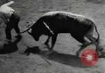 Image Pour l'école matadors Caracas venezuela, 1955, de la seconde 47 séquences d'archives historiques vidéo 65675068829
