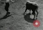 Image Pour l'école matadors Caracas venezuela, 1955, de la seconde 48 séquences d'archives historiques vidéo 65675068829