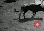 Image Pour l'école matadors Caracas venezuela, 1955, de la seconde 49 séquences d'archives historiques vidéo 65675068829