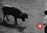 Image Pour l'école matadors Caracas venezuela, 1955, de la seconde 61 séquences d'archives historiques vidéo 65675068829