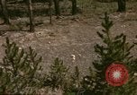 Standbild 1960 Ansichten des Yellowstone National Park Jackson Wyoming USA, 1960, aus Sekunde 39 historischem Filmmaterial Videoclip 65675068833