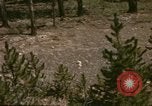 Standbild 1960 Ansichten des Yellowstone National Park Jackson Wyoming USA, 1960, aus Sekunde 40 historischem Filmmaterial Videoclip 65675068833