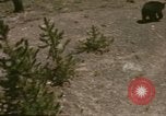 Standbild 1960 Ansichten des Yellowstone National Park Jackson Wyoming USA, 1960, aus Sekunde 42 historischem Filmmaterial Videoclip 65675068833
