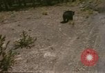 Standbild 1960 Ansichten des Yellowstone National Park Jackson Wyoming USA, 1960, aus Sekunde 43 historischem Filmmaterial Videoclip 65675068833