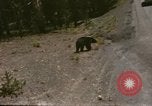 Standbild 1960 Ansichten des Yellowstone National Park Jackson Wyoming USA, 1960, aus Sekunde 44 historischem Filmmaterial Videoclip 65675068833