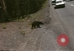 Standbild 1960 Ansichten des Yellowstone National Park Jackson Wyoming USA, 1960, aus Sekunde 45 historischem Filmmaterial Videoclip 65675068833