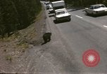 Standbild 1960 Ansichten des Yellowstone National Park Jackson Wyoming USA, 1960, aus Sekunde 47 historischem Filmmaterial Videoclip 65675068833