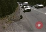 Standbild 1960 Ansichten des Yellowstone National Park Jackson Wyoming USA, 1960, aus Sekunde 48 historischem Filmmaterial Videoclip 65675068833