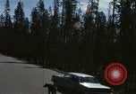Standbild Yellowstone National Park Blick 1960 Wyoming United States USA, 1960, aus Sekunde 44 historischem Filmmaterial Videoclip 65675068838