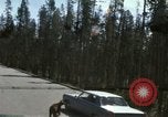 Standbild Yellowstone National Park Blick 1960 Wyoming United States USA, 1960, aus Sekunde 47 historischem Filmmaterial Videoclip 65675068838